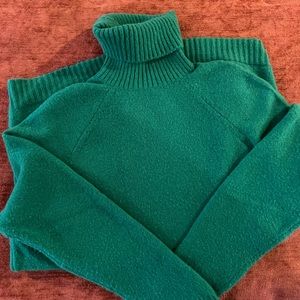 JCrew Turtleneck sweater